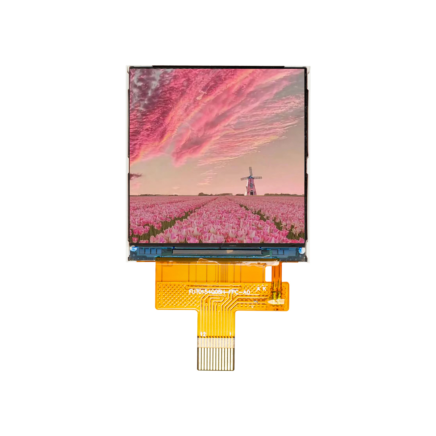 China 1.85 Inch 240*284 IPS TFT LCD Display Manufacturer and